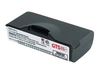 GTS HSIN740-LI - Batterie pour ordinateur de poche - Lithium Ion - 2400 mAh - pour Intermec 740 Color, 741 Color, 750 Color, 751 Color, 760 Color, 761 Color