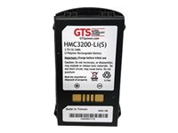 GTS HMC3200-LI(S) - Batterie pour ordinateur de poche (équivalent à : Symbol BTRY-MC32-01-01) - Lithium Ion - 2740 mAh (pack de 100) - pour Zebra MC3200, MC3200 Gun Premium, MC3200 Premium, MC3200 Standard, MC3330R, MC3390R