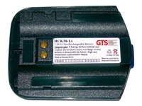 GTS HCK30-LI - Batterie pour ordinateur de poche (équivalent à : Intermec 318-020-001) - Lithium Ion - 2400 mAh (pack de 10) - pour Intermec CK30, CK31