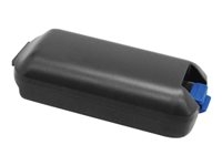 GTS HCK3-LI - Batterie pour lecteur de code barre (équivalent à : Intermec 318-034-001) - Lithium Ion - 5200 mAh (pack de 10) - pour Intermec CK3, CK3A