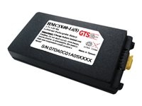GTS HMC3X00-LI(S) - Batterie pour ordinateur de poche (standard) (équivalent à : Symbol BTRY-MC3XKAB0E) - Lithium Ion - 2700 mAh (pack de 10) - pour Zebra MC3000, MC3090, MC3100, MC3190