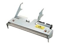 Intermec - 300 dpi - printkop - voor Honeywell PM43, PM43c