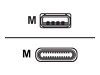 Honeywell - Câble USB - USB (M) pour USB-C (M) - 1.2 m - pour Honeywell CT40 XP HC; ScanPal EDA52