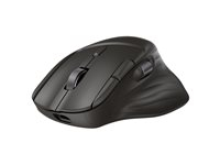 HP 780M - Souris - pleine taille - pour droitiers - optique - 6 boutons - sans fil - Bluetooth, 2.4 GHz - récepteur sans fil USB - noir