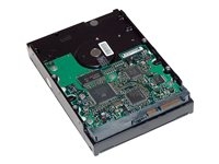 HP - Disque dur - 2 To - interne - 3.5" - SATA 6Gb/s - 7200 tours/min - mémoire tampon : 64 Mo - pour Workstation Z2 G4, Z2 G9, Z230, Z4 G4, Z420, Z6 G4, Z620, Z640, Z8 G4, Z820; ZCentral 4R