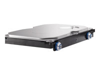 Hard Drives & Stocker - Internal HDD - QK555AA