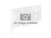 AMD Radeon Pro W7500 - Carte graphique - Radeon Pro W7500 - 8 Go - 4 x DisplayPort