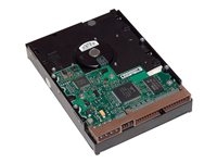 Hard Drives & Stocker - Internal HDD - LQ036AA