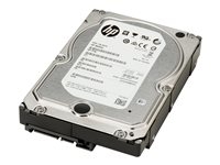 HP Enterprise - Disque dur - 6 To - SATA - 7200 tours/min - pour Workstation Z2 G4, Z2 G5