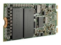 Hard Drives & Stocker - Internal SSD - P40513-B21