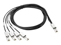 Accessoires et Cables - Câble SAS - AN975A