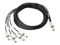 Kabels - SAS kabels - AN976A