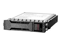 Hard Drives & Stocker - Internal SSD - P40503-K21