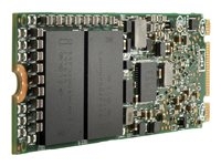 Hard Drives & Stocker - Internal SSD - P40513-H21