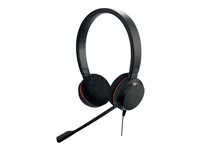 Audio - Casque et micro - 4999-823-109