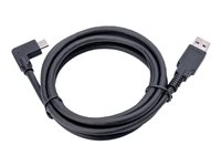 Jabra PanaCast - Câble USB - 1.8 m - pour PanaCast 50, 50 Room System