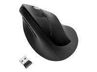 Toetsenbord en mice - Muis - K75501EU