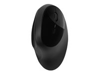 Clavier et souris - Souris - K75404EU