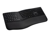 Toetsenbord en mice -  - K75401FR