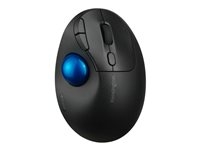 Clavier et souris - Souris - K72194WW