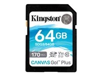 Disque dur et stockage -  - SDG3/64GB