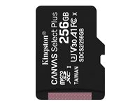 Disque dur et stockage - Carte mémoire Flash - SDCS2/256GBSP