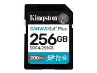 - - SDG4/256GB
