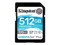 Disque dur et stockage - Carte mémoire Flash - SDG3/512GB