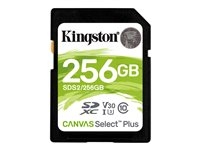 Disque dur et stockage - Carte mémoire Flash - SDS2/256GB