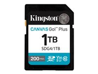 - - SDG4/1TB