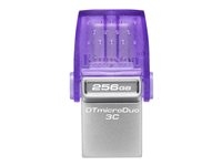 DTDUO3CG3/256GB