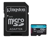 Disque dur et stockage - Carte mémoire Flash - SDCG3/256GB
