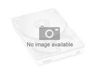 Hard Drives & Stocker - Internal HDD - 81Y9806