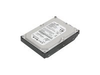 Hard Drives & Stocker - Internal HDD - 45J7918