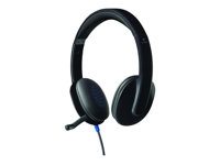 Audio - Casque et micro - 981-000480