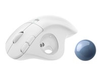 Clavier et souris -  - 910-005870