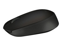 Clavier et souris - Souris - 910-004798