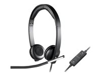 Audio - Casque et micro - 981-000519