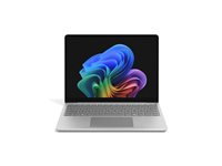 LPTP 13i SDP/24/1TB W11 QWERTZ PLATINUM QWERTZU