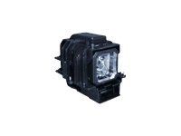Projecteurs - Lampes - 50029923