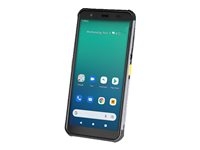 Newland NFT10 Pilot Pro - Data collection terminal - Android 11 - 64 GB - 5.7" (1440 x 720) - rear camera + front camera - barcode reader - (2D imager) - USB host - microSD slot - Wi-Fi 5, NFC, RFID, Bluetooth - 3G, 4G - LTE