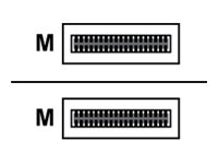  -  - PAN-QSFP-AOC-10M