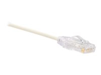 Accessoires et Cables -  - UTP28X5M