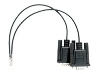 QNAP - Câble de console série - RJ-11 pour RS-232 - 20 cm