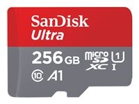 - - SDSQUAC-256G-GN6MA