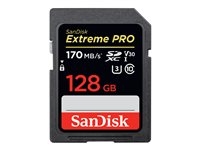 SDSDXXY-128G-GN4IN