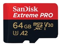 Carte mémoire Flash - - SDSQXCU-064G-GN6MA