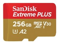 - - SDSQXBD-256G-GN6MA