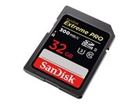 SDSDXPK-032G-GN4IN