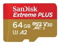 Carte mémoire Flash - - SDSQXBU-064G-GN6MA